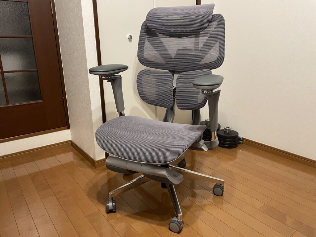 CAGUUU AXISU アクシスエルゴコアオフィスチェア